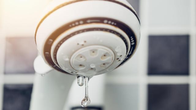 The Easiest Way to Fix a Dripping Shower Head