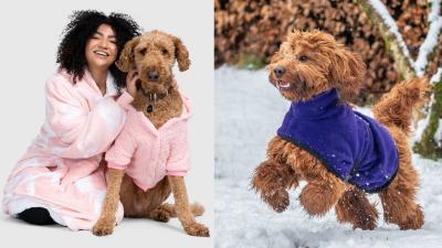 9 Dog Coats to Keep All Your Good Boys and Girls Nice and Toasty This Winter
