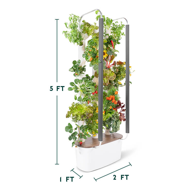 What I Wish I’d Known Before I Bought a Hydroponic Gardening Tower