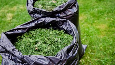 The Best Ways to Use Grass Clippings in Your Garden