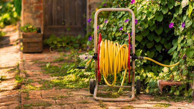 Five Types of Garden Hoses (and Which You Should Choose)