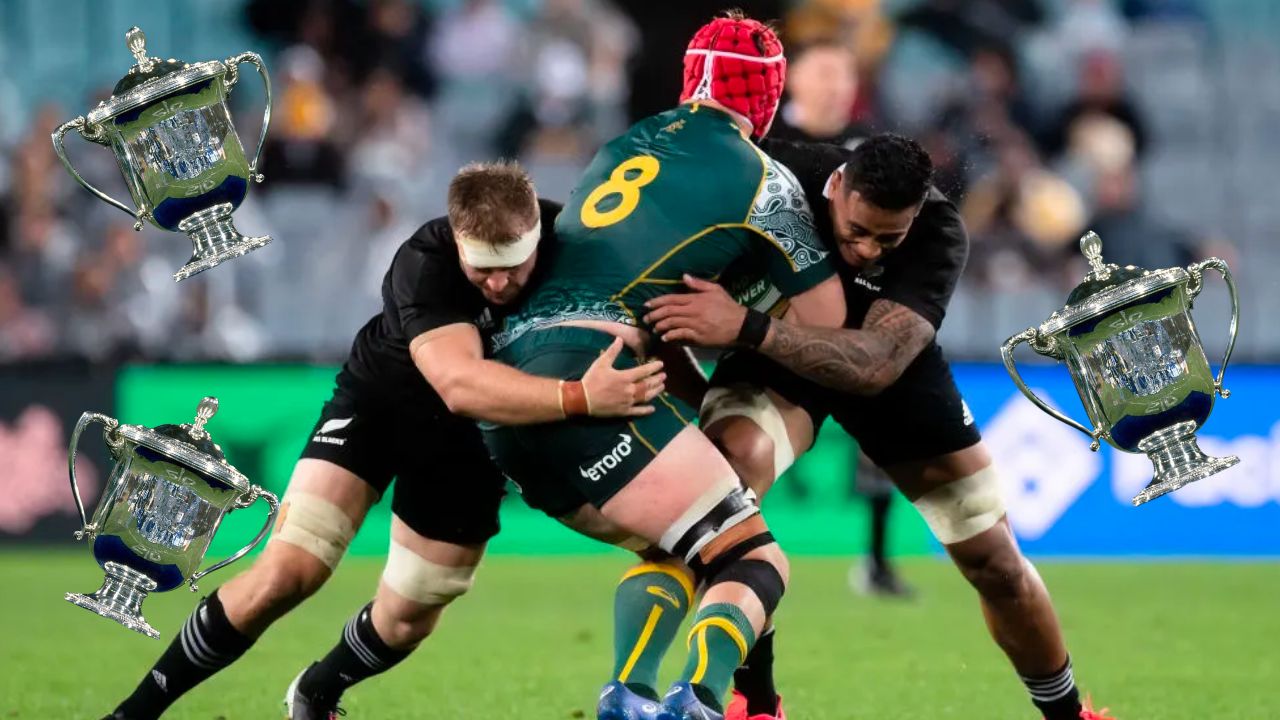 Bledisloe Cup 2023 is Coming Heres Where You Can Watch Live