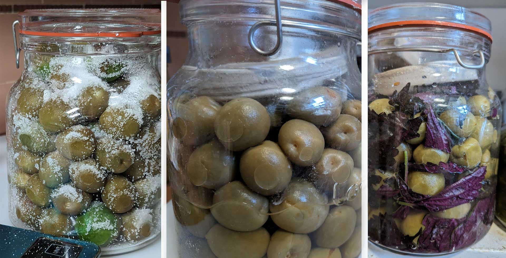Progression of umeboshi. Salted fresh plums, covered in umeshu a month later, and with shiso added.  (Photo: Amanda Blum)