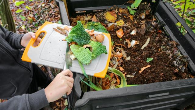 The 5 Laziest Ways to Compost