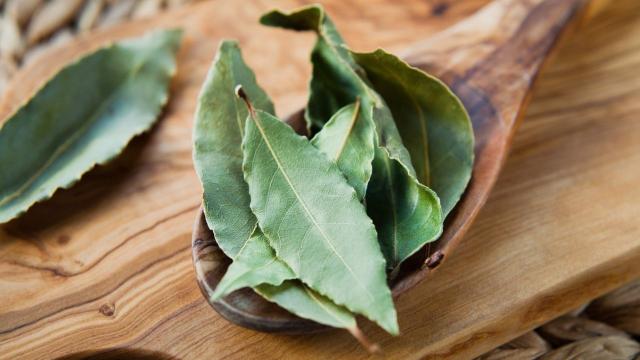 Do Bay Leaves Even Do Anything?