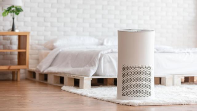 The Best (and Worst) Places to Put Your Air Purifier