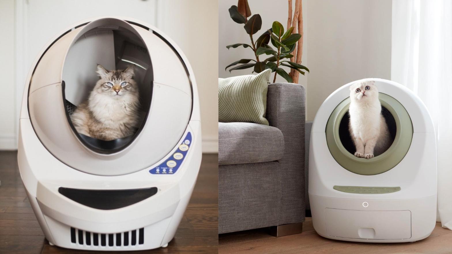 Best self cleaning automated litter boxes