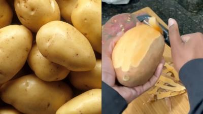 I Have Been Peeling Potatoes Wrong My Entire Life