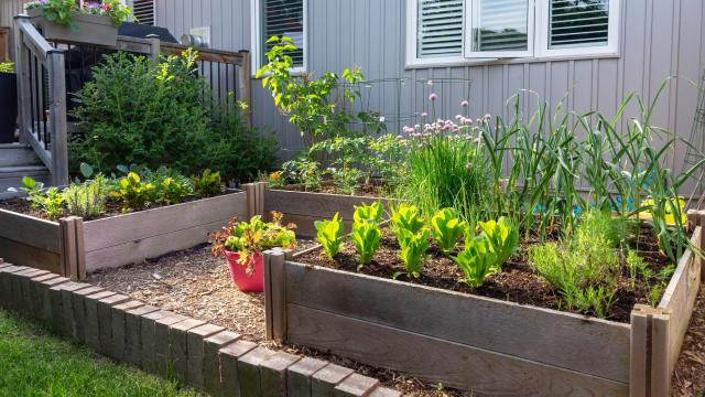 The Best Ways to Reuse Old Bricks in Your Yard