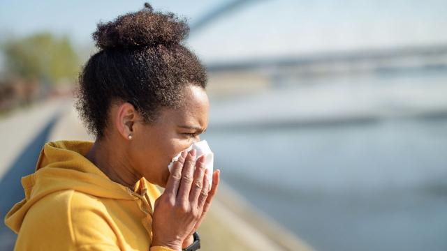 Allergy Season Has Landed: Here Are the Best Treatments for Hay Fever Symptoms
