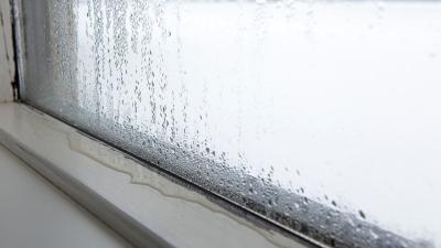 The Best Ways to Reduce Dampness in a Bathroom Without a Window or Fan