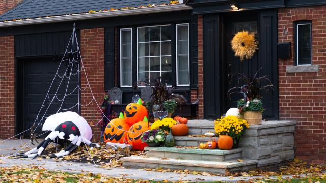The Best DIY Halloween Spiderweb Decorations (That Aren’t Dangerous for Wildlife)