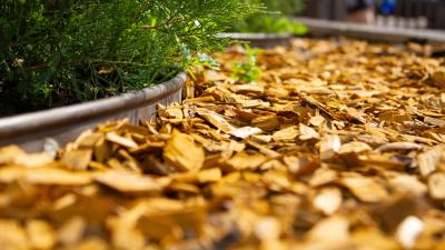 It’s Time to Get Wood Chips for Your Yard