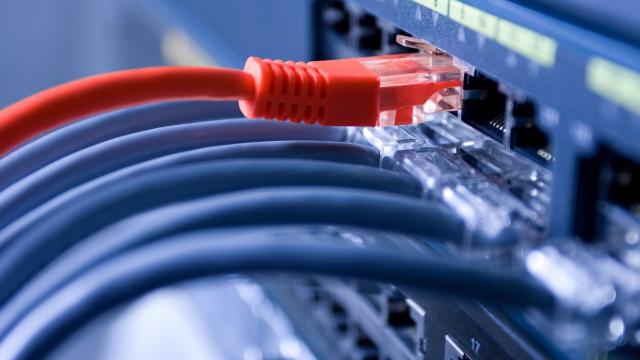 How to Buy the Right Ethernet Cable