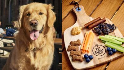 You Can Now Treat Your Pup to a Barkuterie Board at Select Venues Around Aus