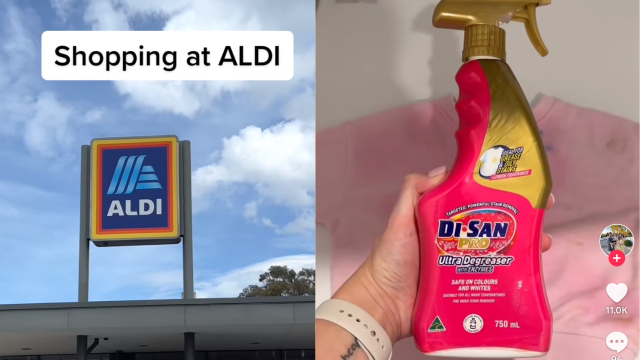 The $2.15 ALDI Product Rated Better Than Expensive Stain Removers