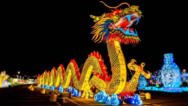 Lunar New Year 2024: What Will The Year of the Dragon Bring?