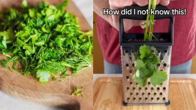 How to Destem Herbs in the Quickest Way Possible