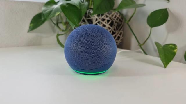 Why Your Amazon Echo’s Light Is Green