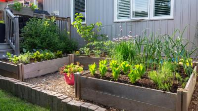 The Best Ways to Lay Out Your Vegetable Garden