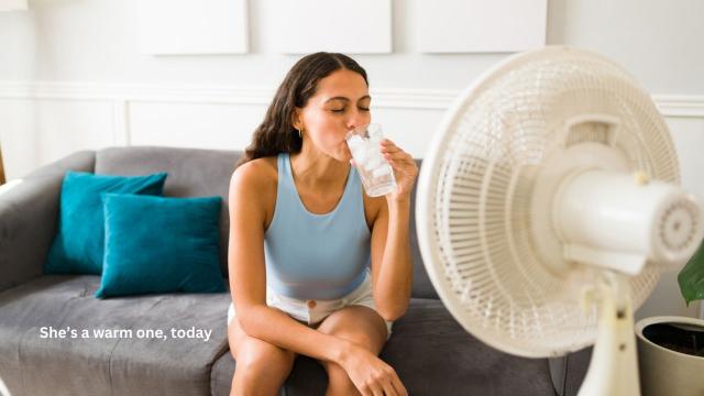 5 Fans That Can Handle the Aussie Heat, According to Reddit