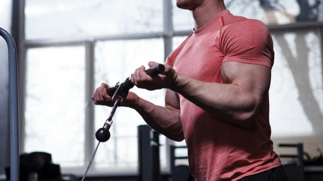 These Are the Best Bicep Exercises