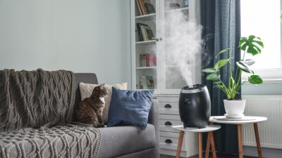 How Often You Need to Clean Your Humidifier (It’s a Lot)