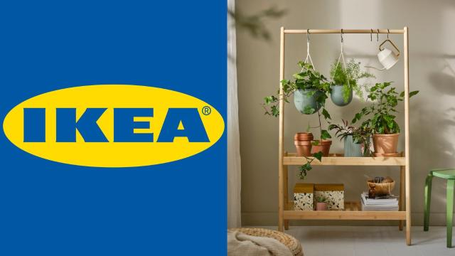 IKEA Has a Stylish New Plant Range, With Items Starting at $3