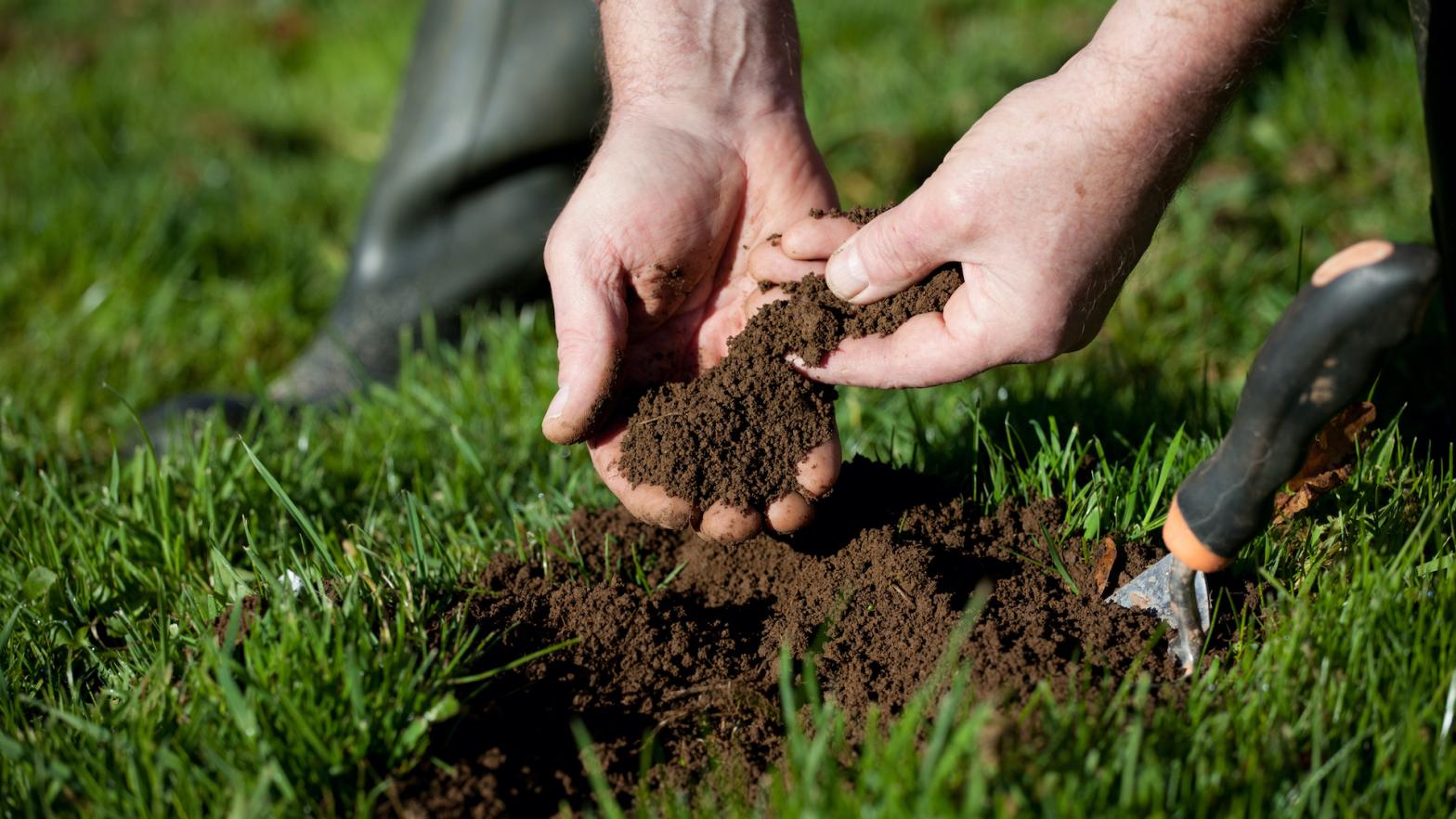 How to Test Your Soil (and Why You Should)