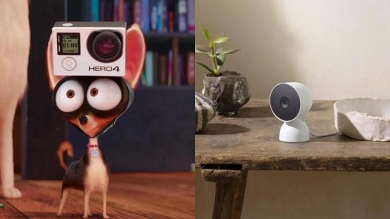 Keep an Eye on Your Furry Friends With These JB Hi-Fi Pet Cameras