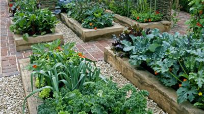 Use the Shade in Your Garden to Grow More Vegetables