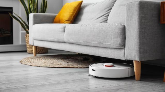 Four Features to Look For in a Robot Vacuum (And One That Doesn’t Matter)