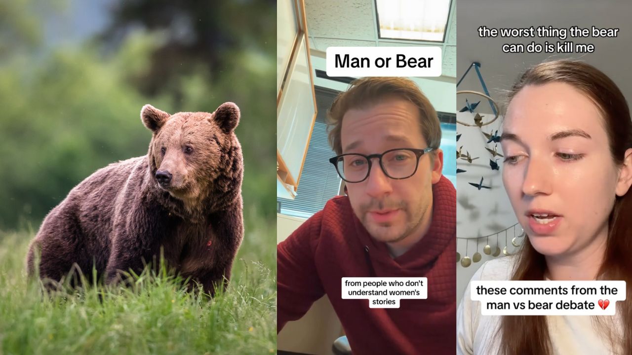 man or bear question