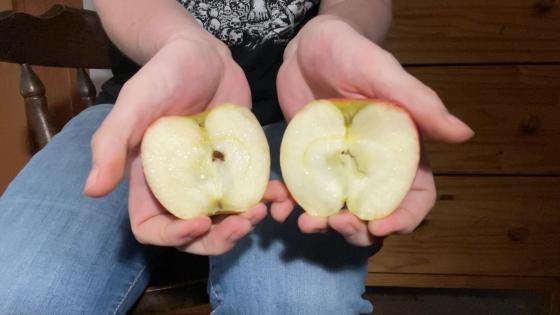 How to Split an Apple in Half With Your Bare Hands (and a Way to Cheat a Little)