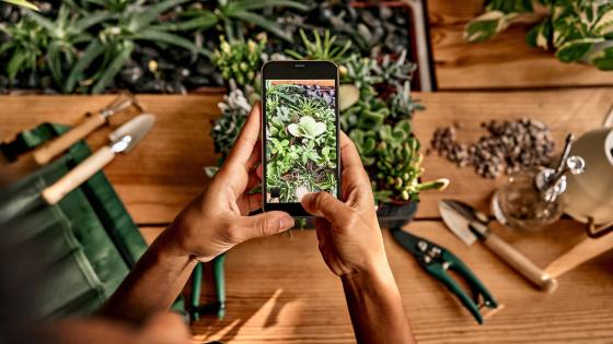 These Are the Best Free Gardening Apps