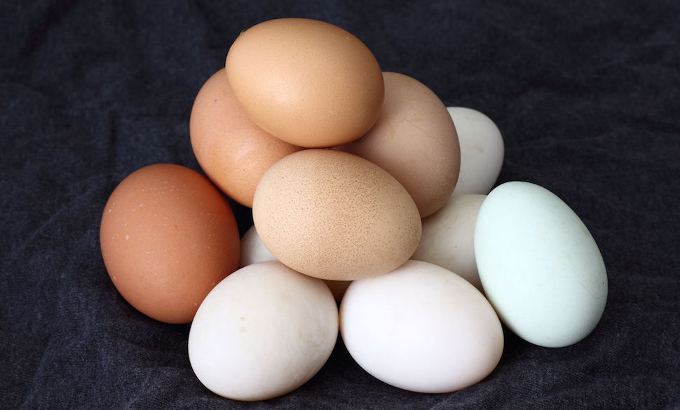 Why Eggs Are Such A Hackable Food (But Difficult To Get Right)