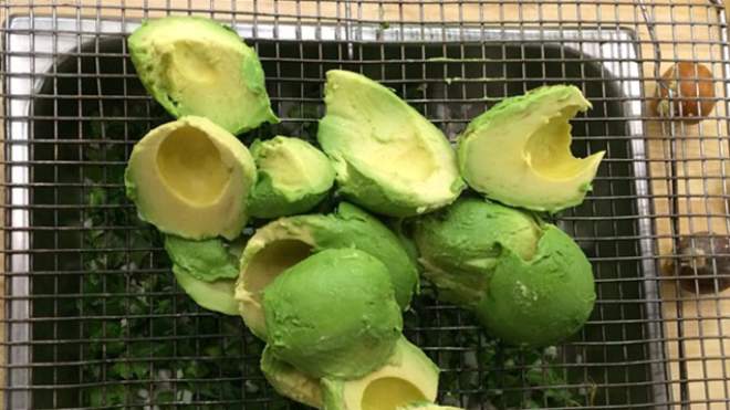 Make Lots Of Perfectly Chunky Guacamole With A Wire Cooling Rack