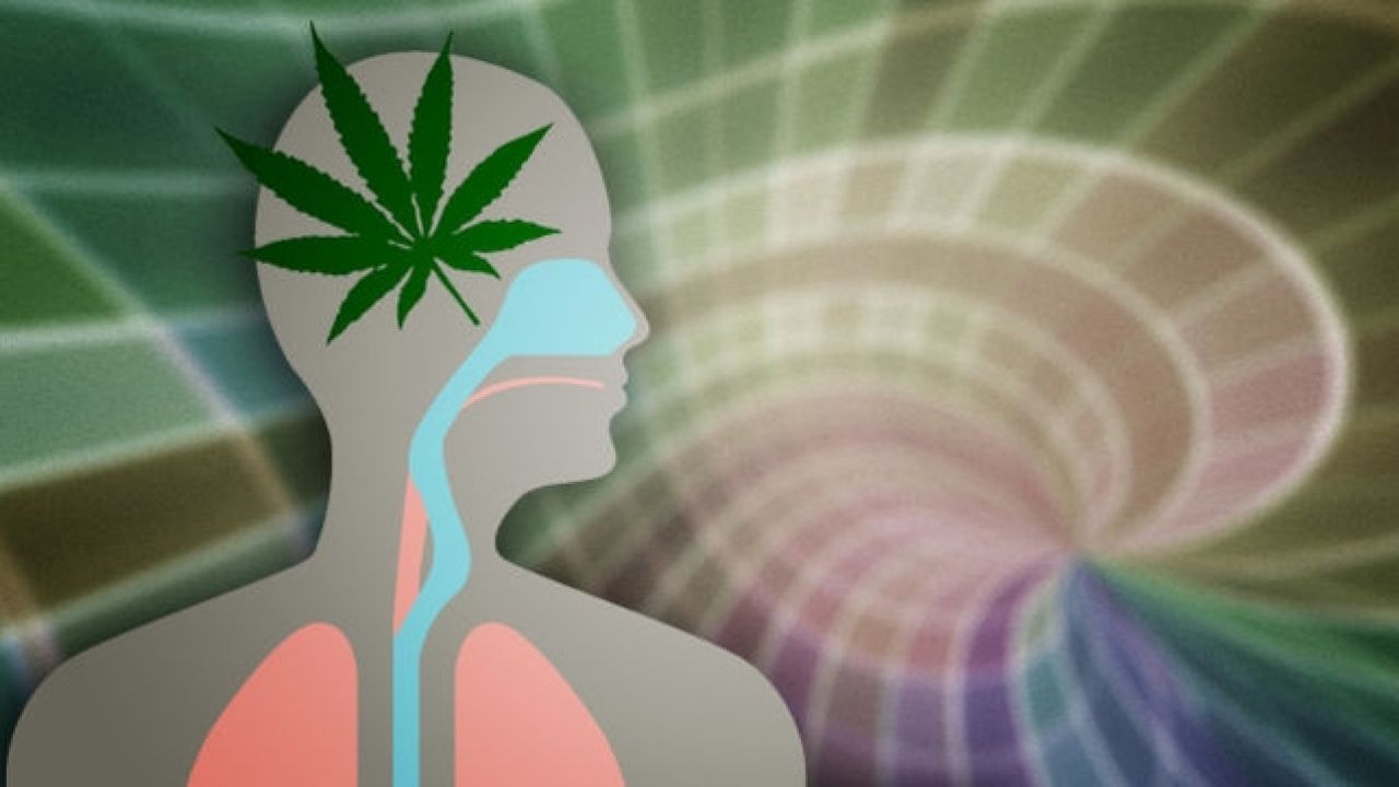 What Marijuana Actually Does to Your Brain and Body