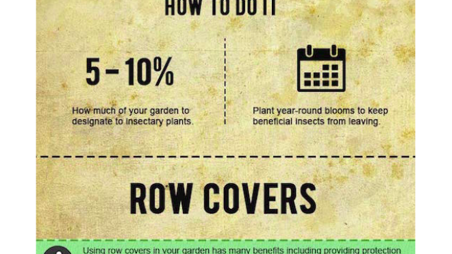 This Graphic Shows How To Defeat Garden Pests With Other Insects