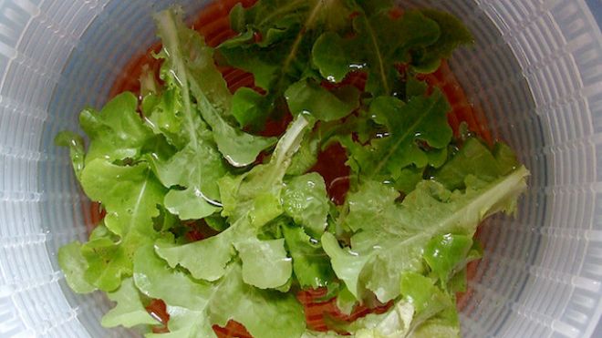 Revive Salad Greens With A Five-Minute Soak In Water