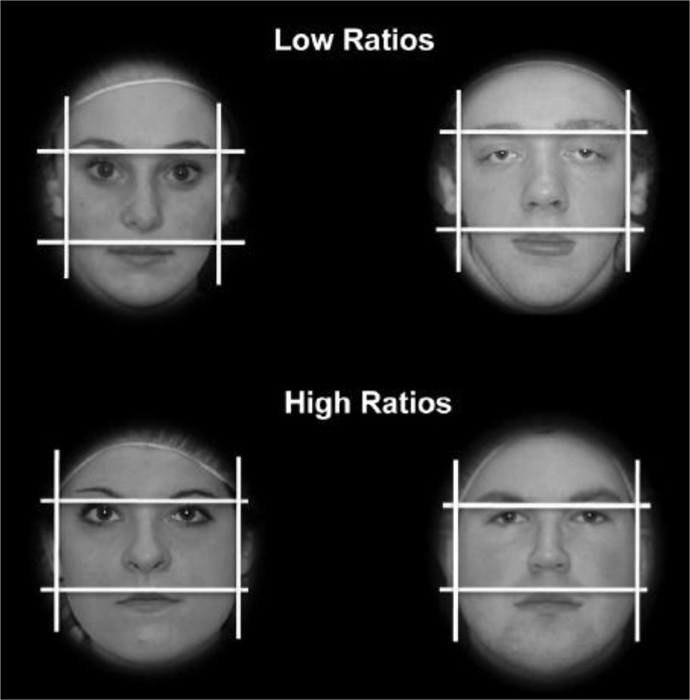 Friend Or Foe? What The Shape Of Your Face Says About You