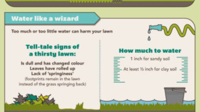 Expert Mowing Tips To Keep Your Lawn Green [Infographic]