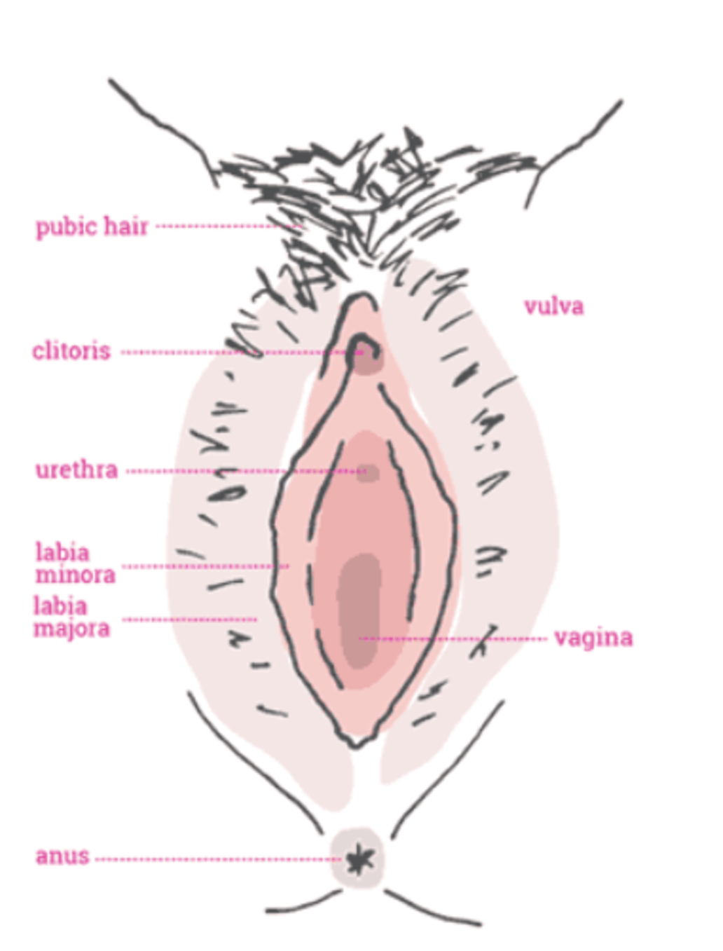 Ladies, We Need To Talk About Your Vaginas