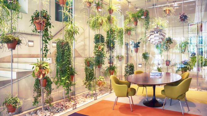 The Best Indoor Plants For Australian Offices