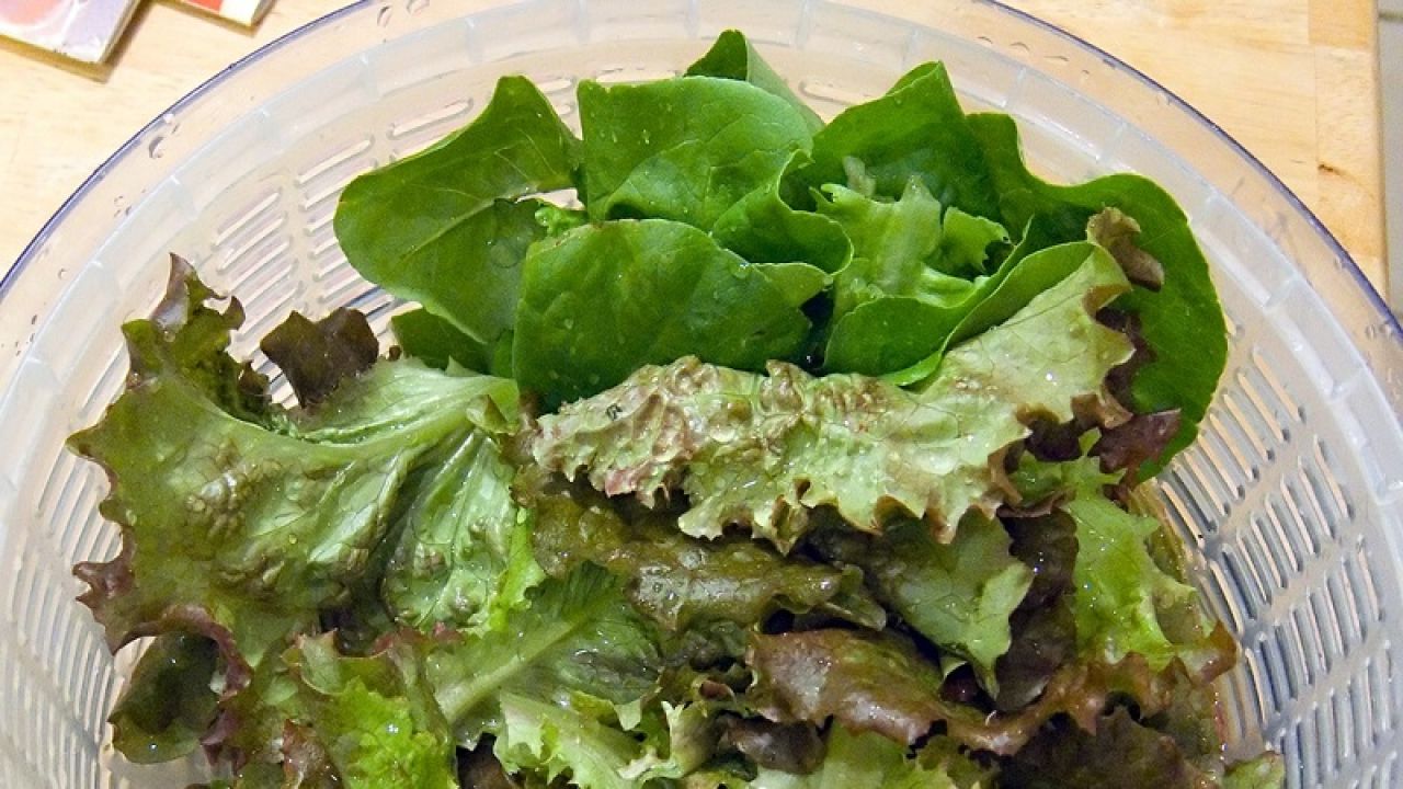 Keep Leafy Greens Fresh Longer By Storing Them Right In The Salad Spinner