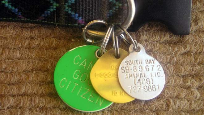 Use Pet Tag Engraving For Cheap, Durable Luggage Or Key Tags