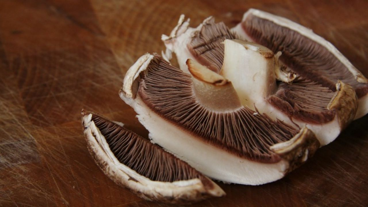 Make Mushroom ‘Jerky’ For An Umami-Packed Snack Anyone Can Enjoy