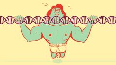 How Much Does Genetics Really Affect Your Fitness?
