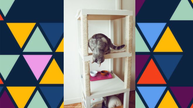 Make Your Own Cheap, Compact Cat Tree From IKEA Tables