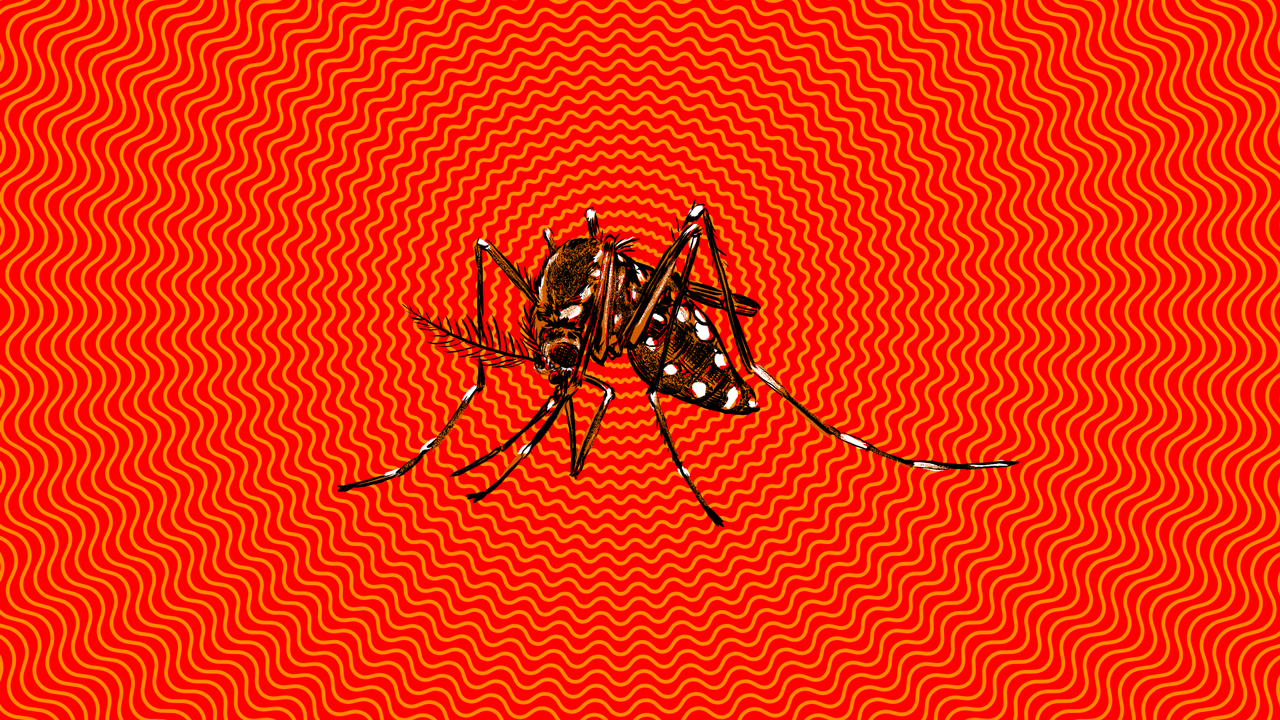 Your Non-Alarmist Guide To The Zika Virus
